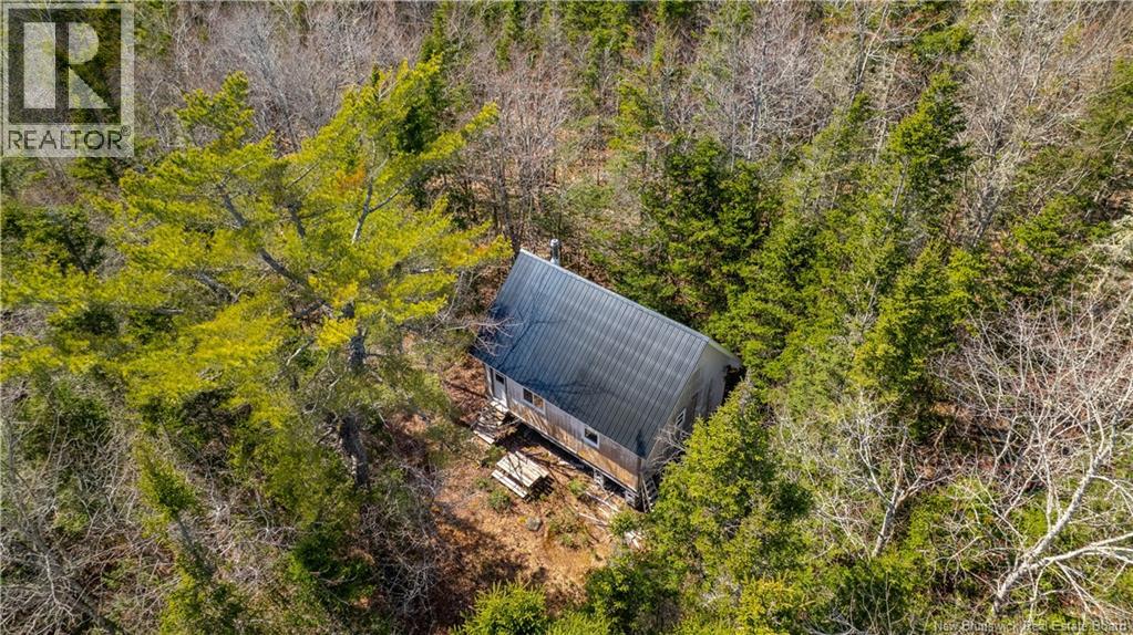 Lot 00 Frye Road, Chamcook, New Brunswick E5B 0C4 - Photo 6 - NB129560