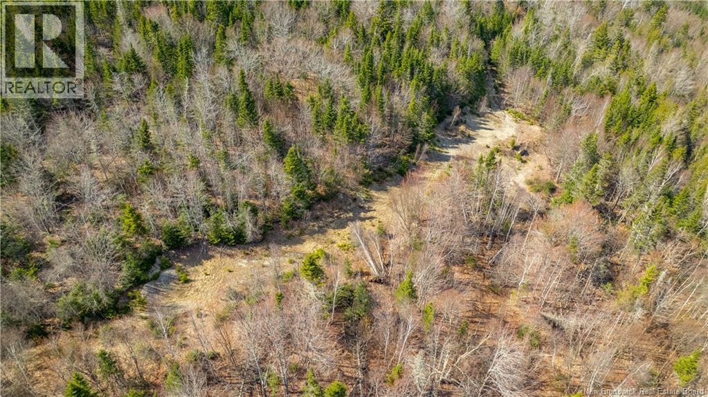 Lot 00 Frye Road, Chamcook, New Brunswick E5B 0C4 - Photo 7 - NB129560