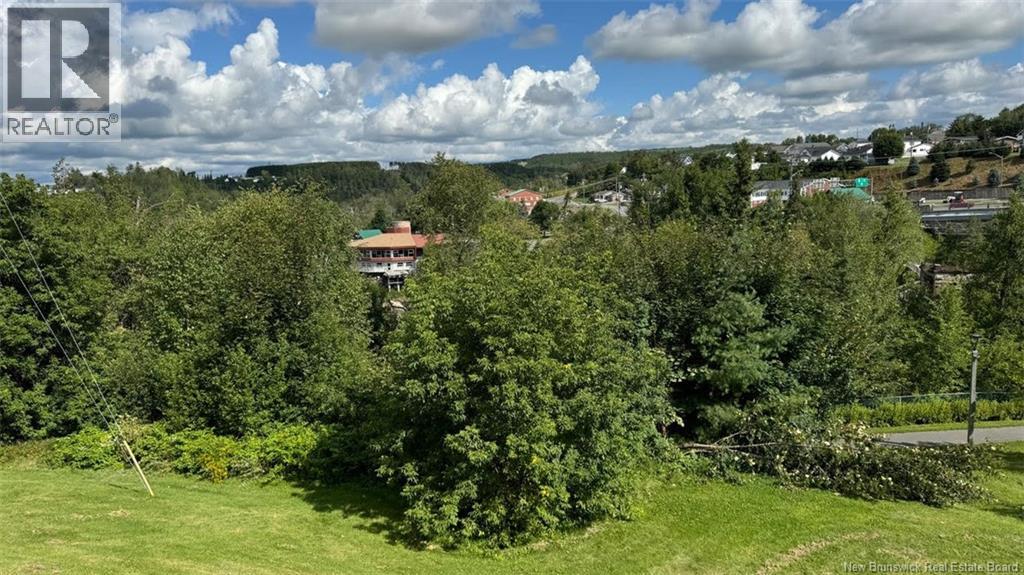 64 Broadway Boulevard, Grand-Sault/grand Falls, New Brunswick E3Z 2J7 - Photo 14 - NB129823