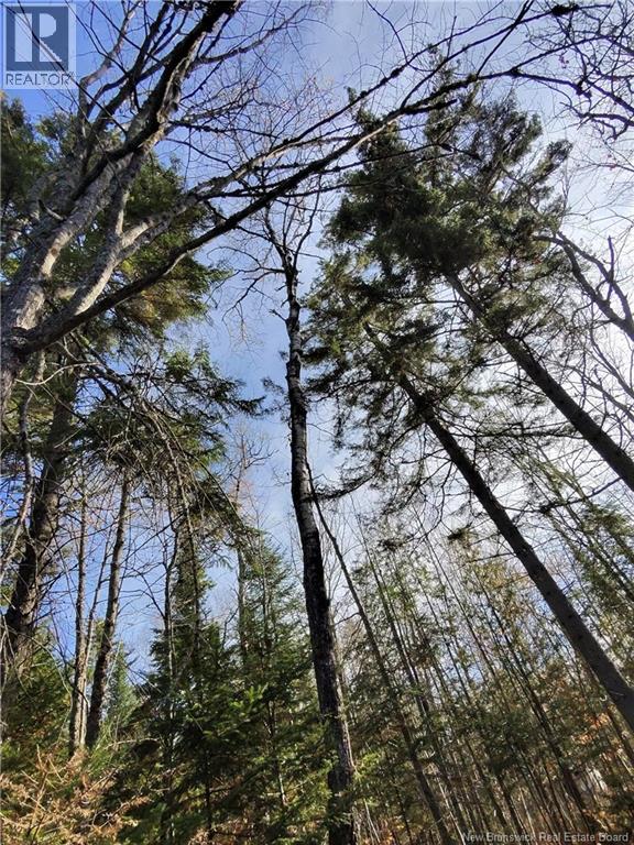 7 Annie Lane, Dumfries, New Brunswick  E6G 1S5 - Photo 10 - NB129711