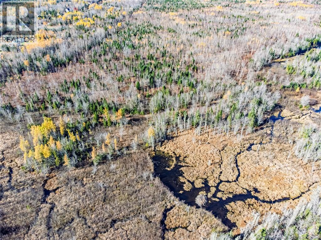 Lot Hurlett Road, Estey's Bridge, New Brunswick  E3A 8H4 - Photo 6 - NB129842
