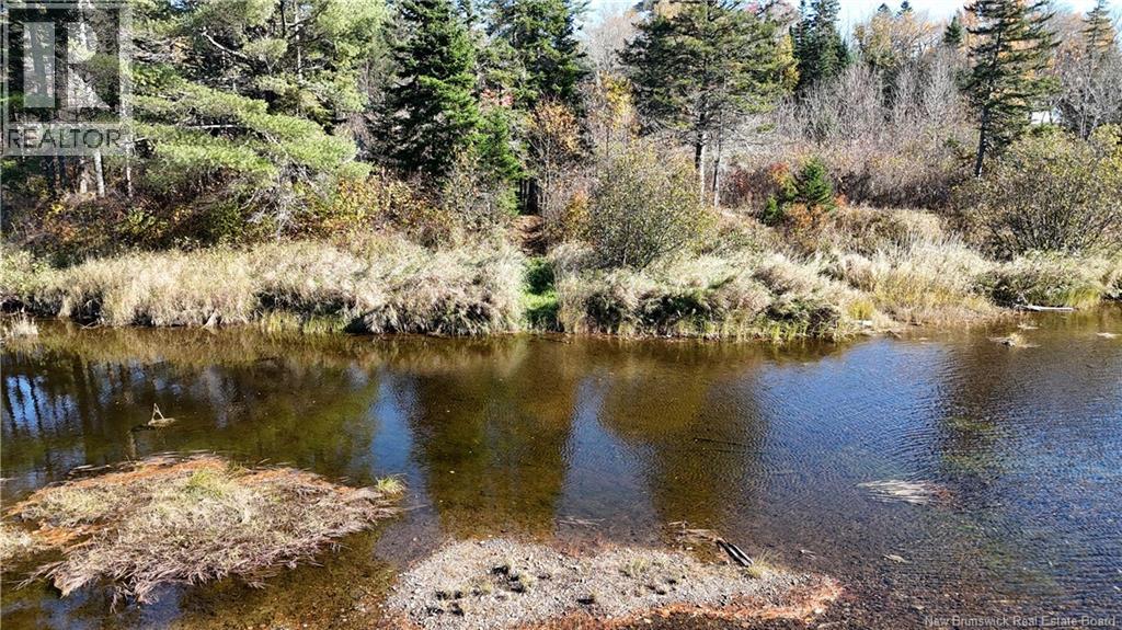 92-5 Loon Bay Road, Saint James, New Brunswick  E5A 1H8 - Photo 16 - NB129562