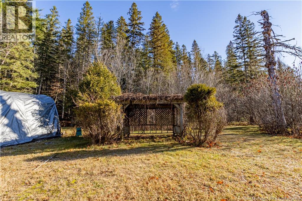 11594 Route 114, Springdale, New Brunswick E4E 5M8 - Photo 30 - NB129574