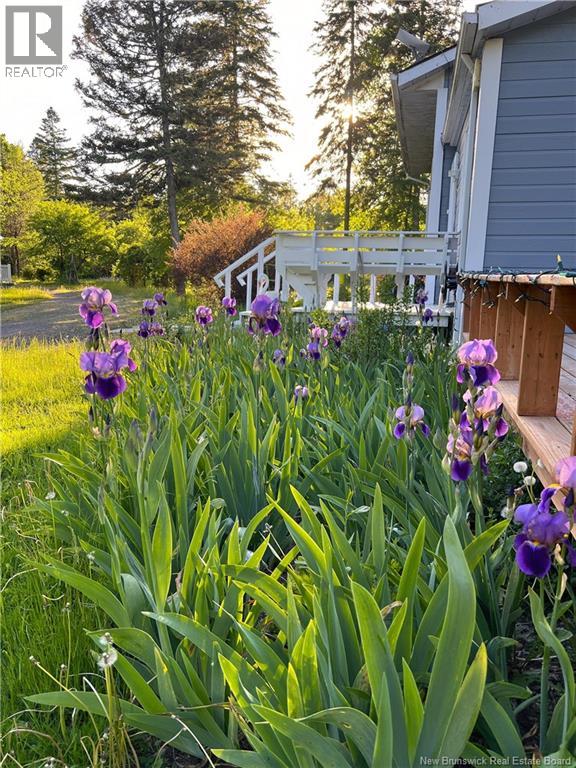 11594 Route 114, Springdale, New Brunswick E4E 5M8 - Photo 45 - NB129574