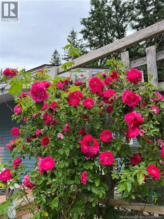 11594 Route 114, Springdale, New Brunswick E4E 5M8 - Photo 46 - NB129574