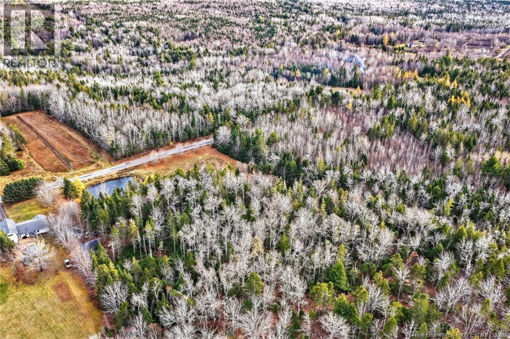 Lot Kay Road, Saint-Antoine, New Brunswick  E4V 2S4 - Photo 16 - NB129752