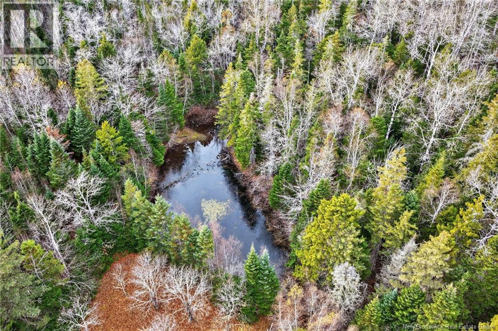 Lot Kay Road, Saint-Antoine, New Brunswick  E4V 2S4 - Photo 24 - NB129752