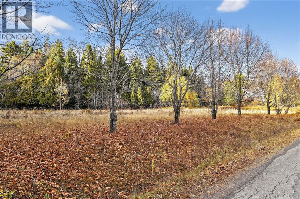 Lot Kay Road, Saint-Antoine, New Brunswick  E4V 2S4 - Photo 4 - NB129752