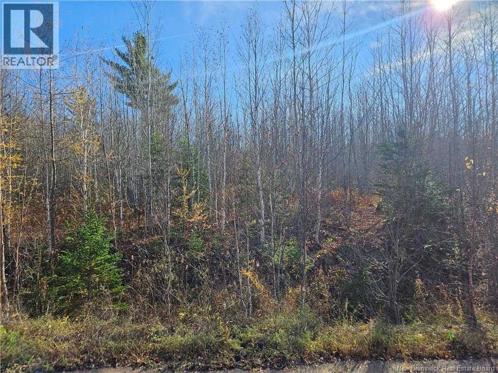 Lot 21-3 Waterway Road, Moncton, New Brunswick E1G 0S8 - Photo 5 - NB129657
