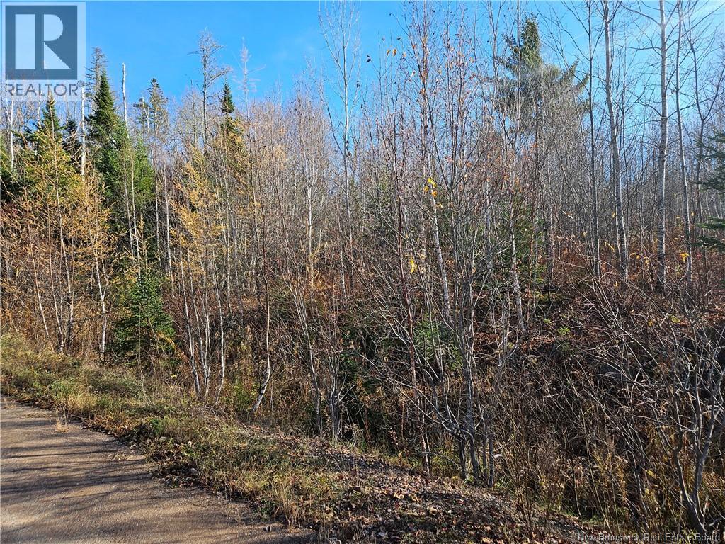 Lot 21-3 Waterway Road, Moncton, New Brunswick E1G 0S8 - Photo 7 - NB129657