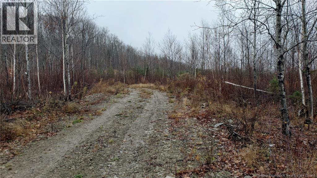 . Urney Road, Waterford, New Brunswick  E4E 5A4 - Photo 10 - NB129948