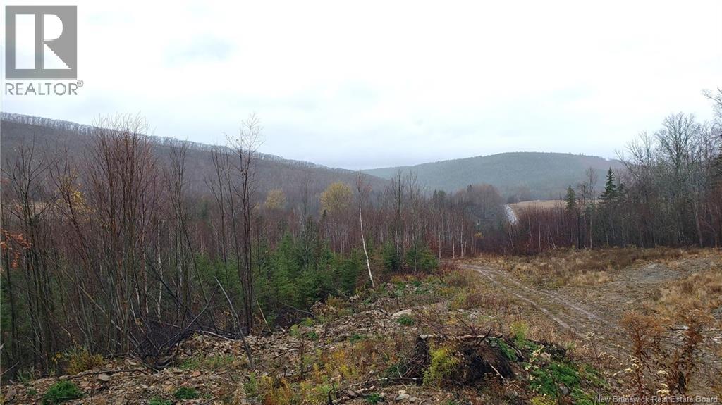 . Urney Road, Waterford, New Brunswick  E4E 5A4 - Photo 6 - NB129948