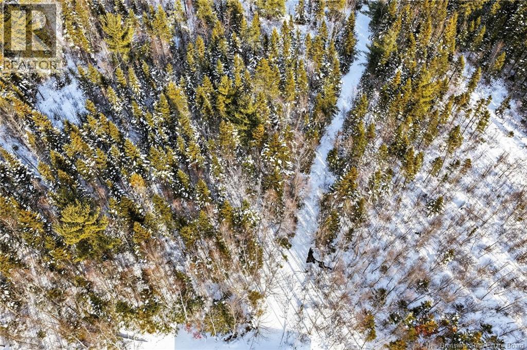 82 Maefield Street, Lower Coverdale, New Brunswick  E1J 0E7 - Photo 46 - NB129991