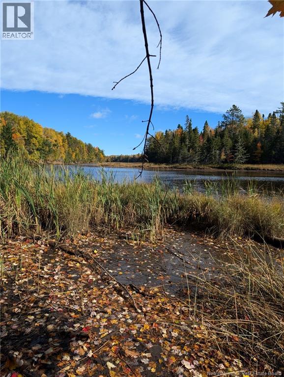 Lot Auburnville Road, Hardwicke, New Brunswick  E1N 5P3 - Photo 3 - NB129984