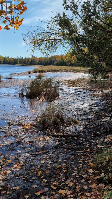Lot Auburnville Road, Hardwicke, New Brunswick  E1N 5P3 - Photo 4 - NB129984
