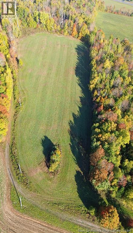 1115 560 Route, Jacksontown, New Brunswick  E7M 3L5 - Photo 11 - NB130044