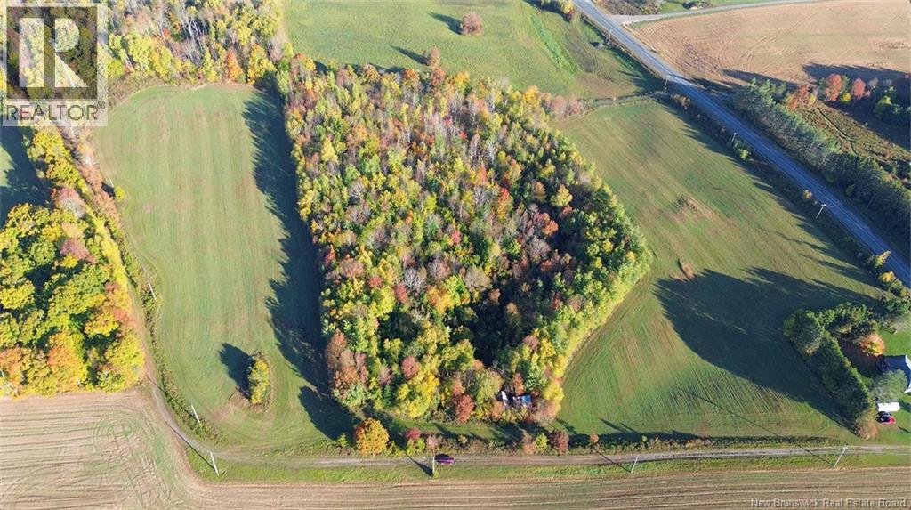 1115 560 Route, Jacksontown, New Brunswick  E7M 3L5 - Photo 7 - NB130044