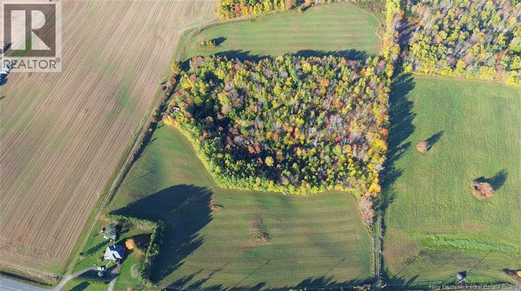 1115 560 Route, Jacksontown, New Brunswick  E7M 3L5 - Photo 9 - NB130044