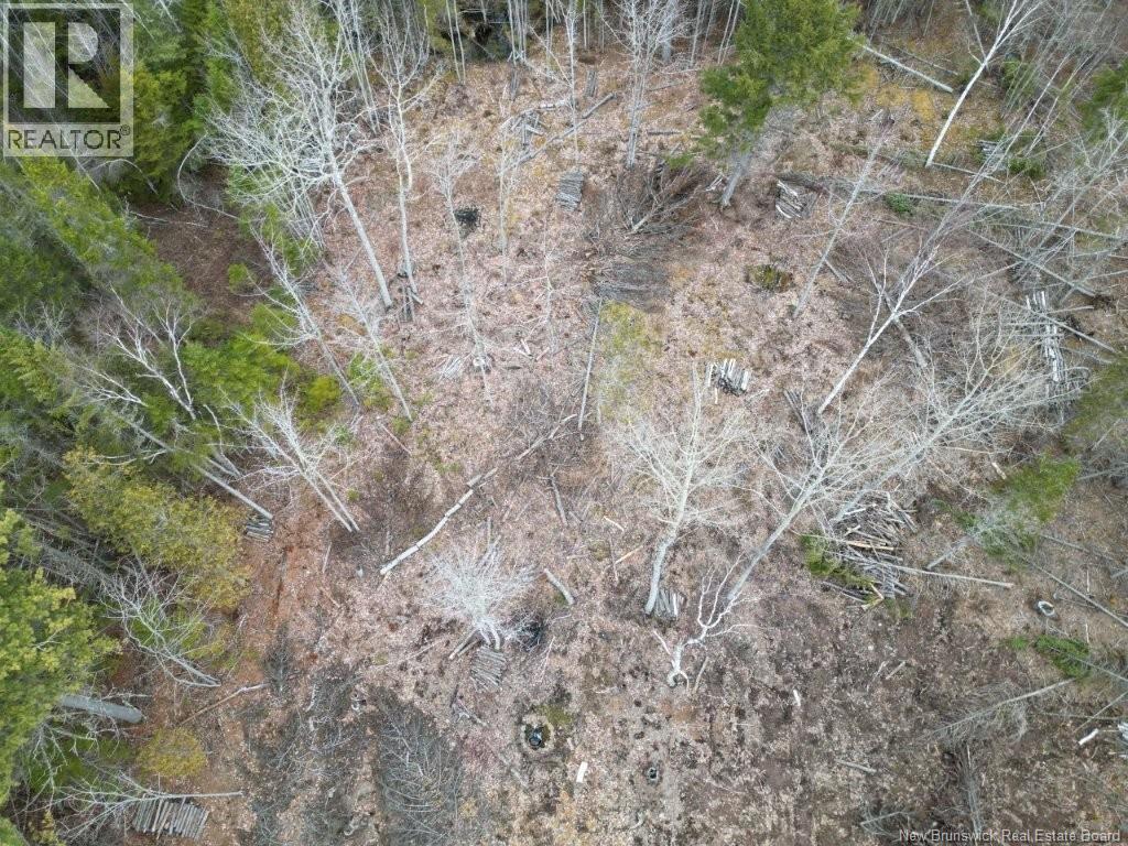 Lot 2022-2 Rte Hwy 105, Mill Cove, New Brunswick E4C 3B2 - Photo 3 - NB130051