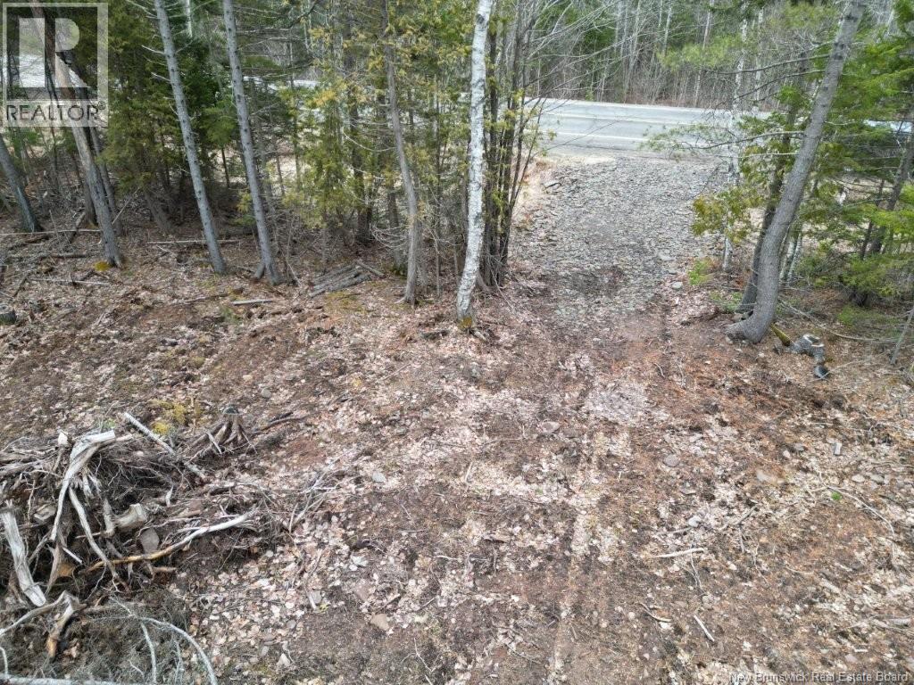 Lot 2022-2 Rte Hwy 105, Mill Cove, New Brunswick E4C 3B2 - Photo 6 - NB130051
