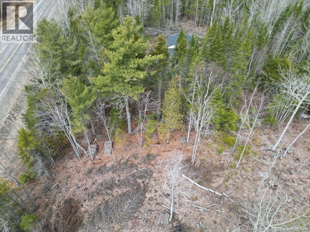 Lot 2022-2 Rte Hwy 105, Mill Cove, New Brunswick E4C 3B2 - Photo 7 - NB130051
