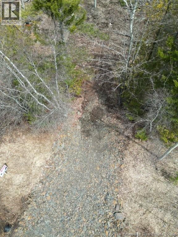 Lot 2022-2 Rte Hwy 105, Mill Cove, New Brunswick E4C 3B2 - Photo 8 - NB130051