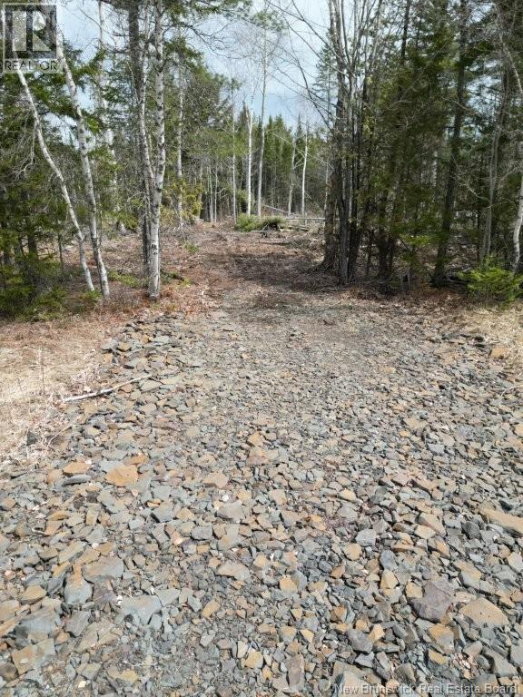 Lot 2022-2 Rte Hwy 105, Mill Cove, New Brunswick E4C 3B2 - Photo 9 - NB130051