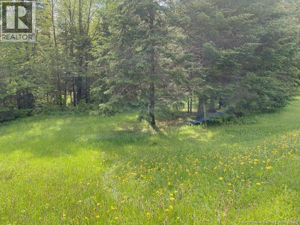 149 Beaulieu Road Unit# A-B, Saint-François-De-Madawaska, New Brunswick E7A 1A2 - Photo 12 - NB130032