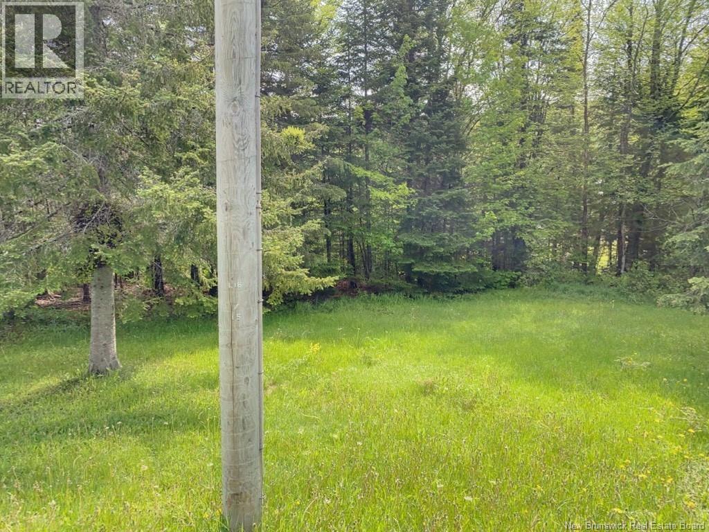 149 Beaulieu Road Unit# A-B, Saint-François-De-Madawaska, New Brunswick E7A 1A2 - Photo 13 - NB130032