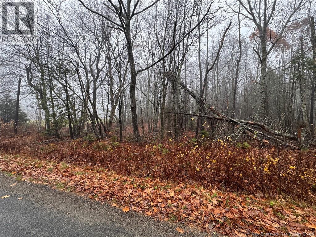 25-02 St. David Ridge Road, Oak Bay, New Brunswick  E3L 4R1 - Photo 6 - NB130061