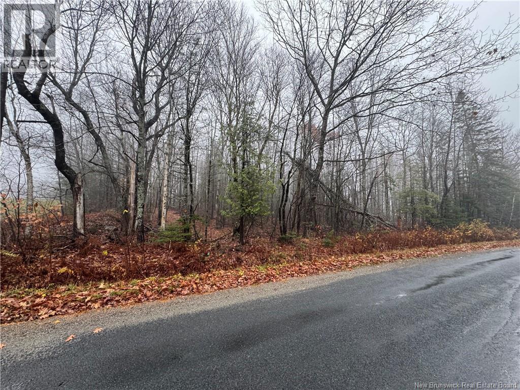 25-02 St. David Ridge Road, Oak Bay, New Brunswick  E3L 4R1 - Photo 7 - NB130061