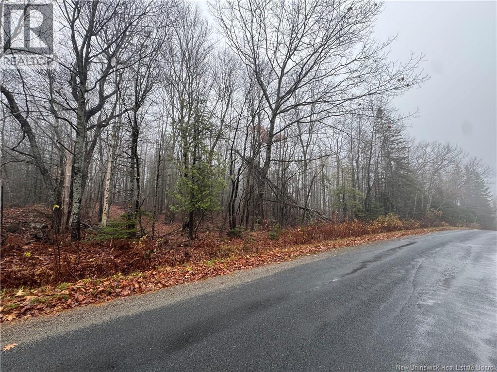 25-02 St. David Ridge Road, Oak Bay, New Brunswick  E3L 4R1 - Photo 8 - NB130061