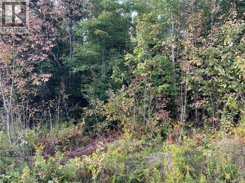 Lot 24-1 Rte 3, Harvey, New Brunswick E6K 1T3 - Photo 8 - NB130074
