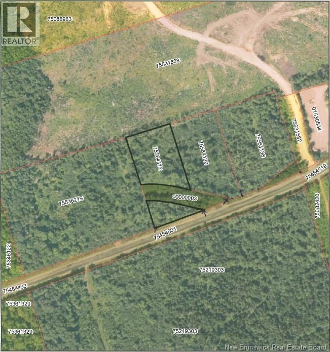 Lot 24-1 Rte 3, Harvey, New Brunswick E6K 1T3 - Photo 9 - NB130074