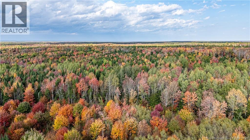 Lot Cormier Village Road, Saint-Paul, New Brunswick E4T 3H3 - Photo 10 - NB130079