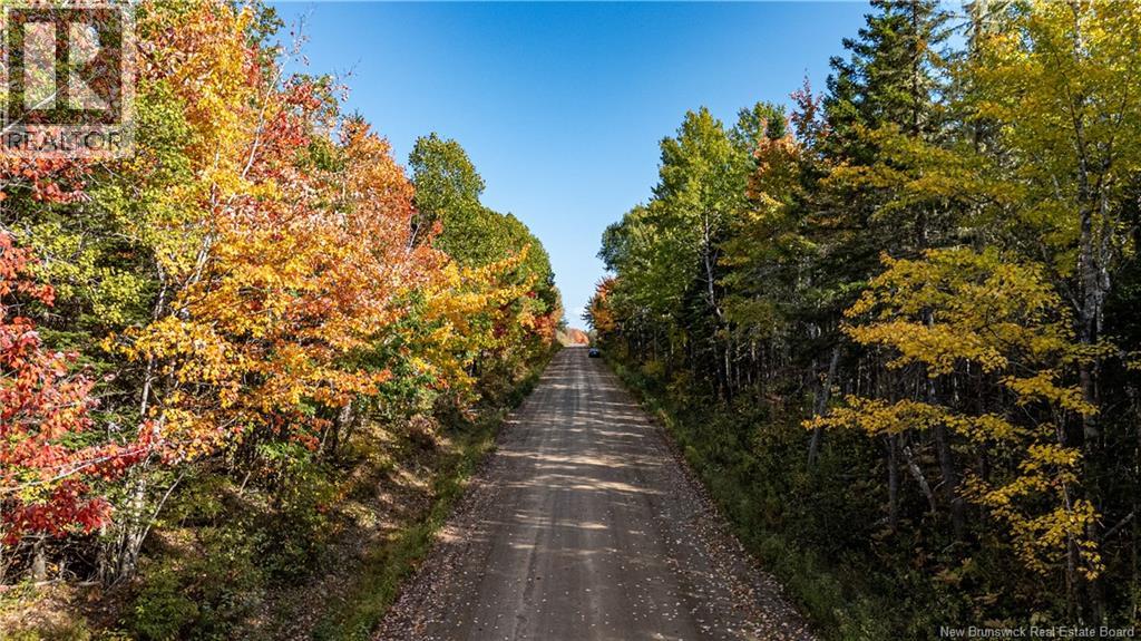 Lot Cormier Village Road, Saint-Paul, New Brunswick E4T 3H3 - Photo 11 - NB130079