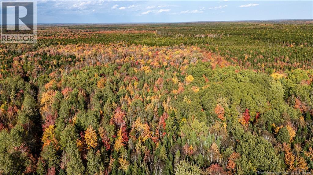 Lot Cormier Village Road, Saint-Paul, New Brunswick E4T 3H3 - Photo 13 - NB130079