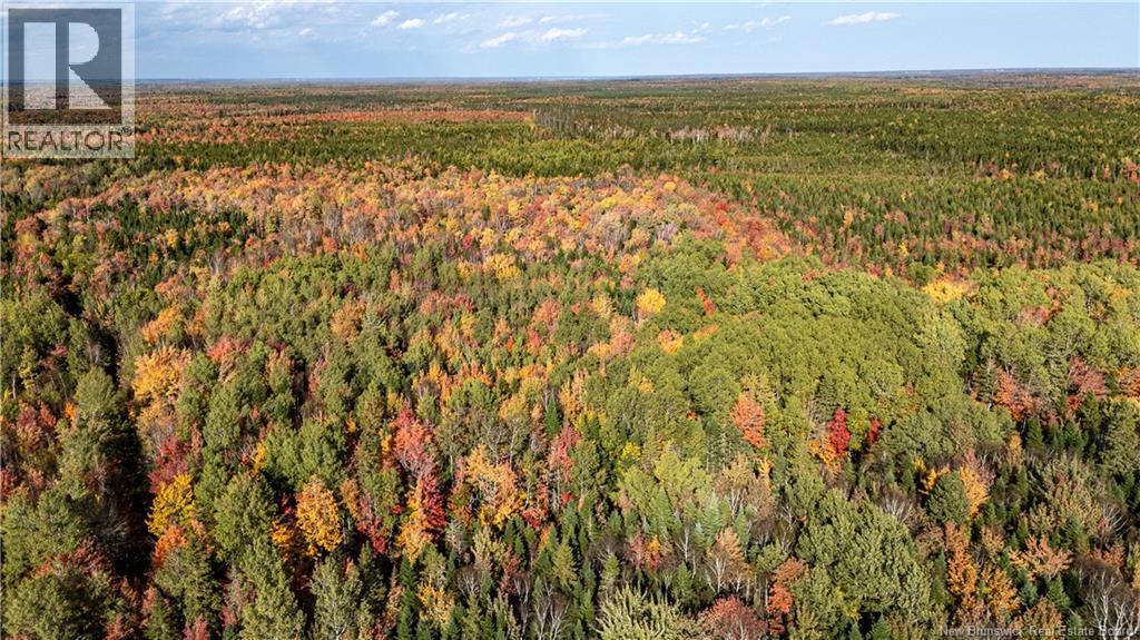 Lot Cormier Village Road, Saint-Paul, New Brunswick E4T 3H3 - Photo 16 - NB130079