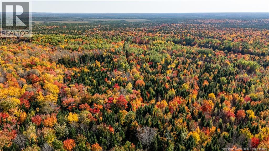 Lot Cormier Village Road, Saint-Paul, New Brunswick E4T 3H3 - Photo 6 - NB130079