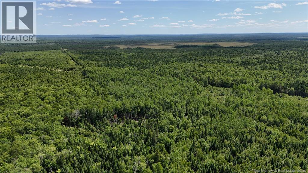 Lot Cormier Village Road, Saint-Paul, New Brunswick E4T 3H3 - Photo 7 - NB130079