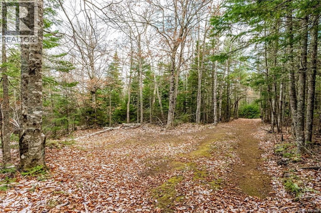 17 Deerwood Drive, Elgin, New Brunswick  E4Z 1S3 - Photo 29 - NB130135