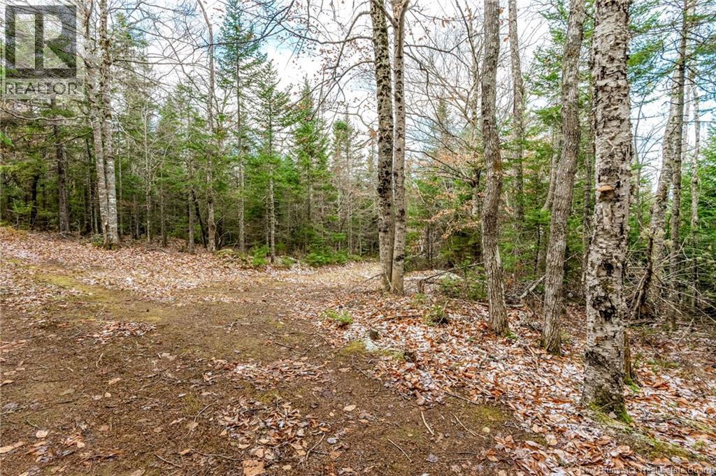 17 Deerwood Drive, Elgin, New Brunswick  E4Z 1S3 - Photo 30 - NB130135