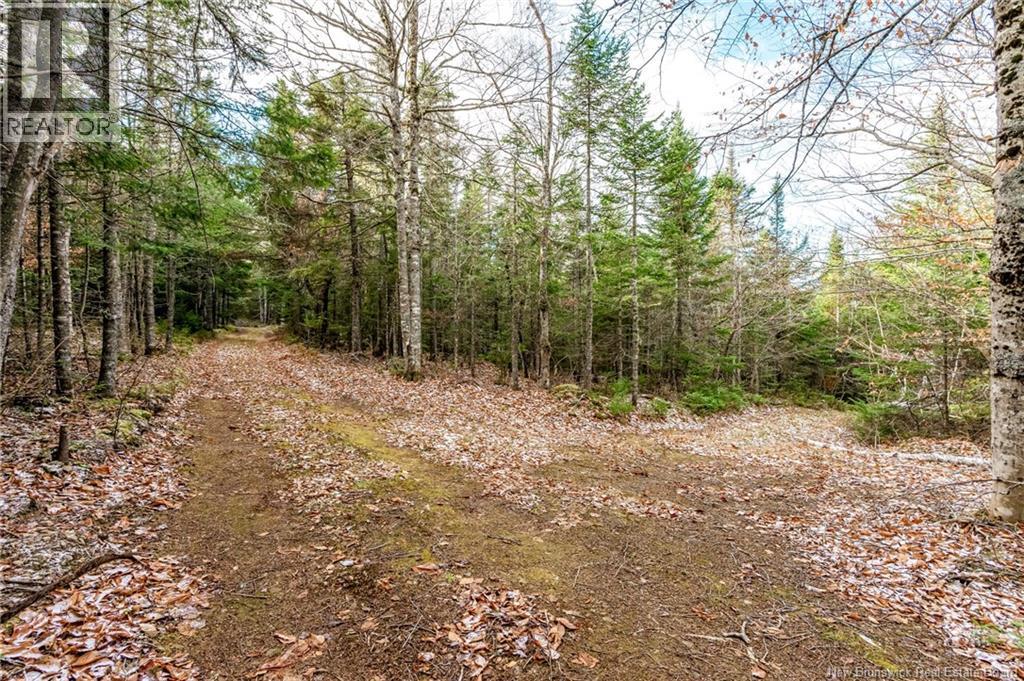 17 Deerwood Drive, Elgin, New Brunswick  E4Z 1S3 - Photo 31 - NB130135