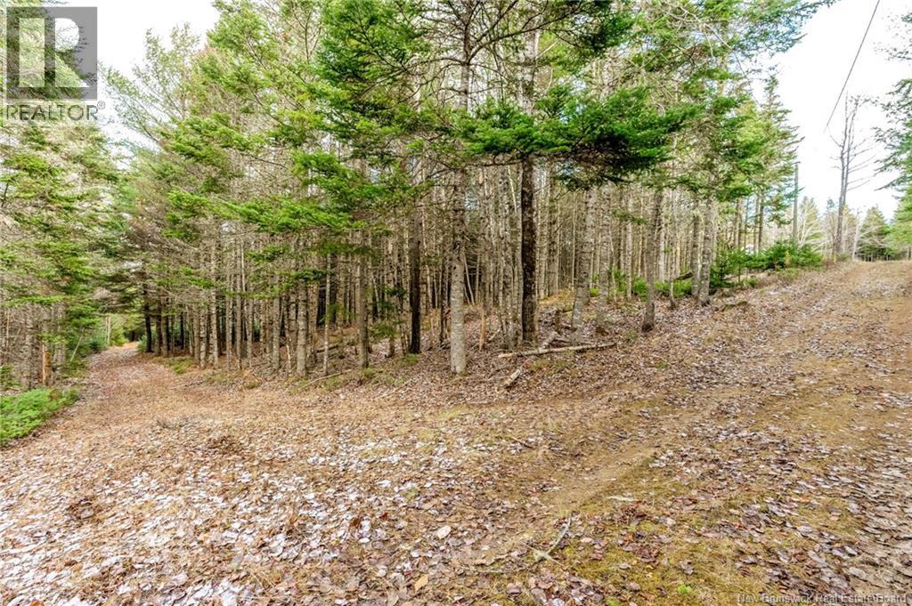 17 Deerwood Drive, Elgin, New Brunswick  E4Z 1S3 - Photo 38 - NB130135