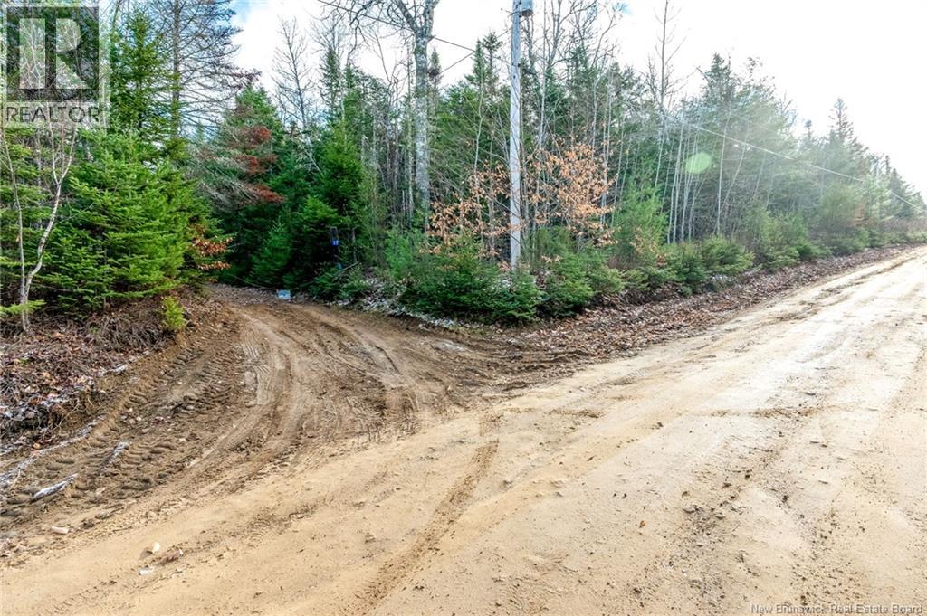 17 Deerwood Drive, Elgin, New Brunswick  E4Z 1S3 - Photo 41 - NB130135