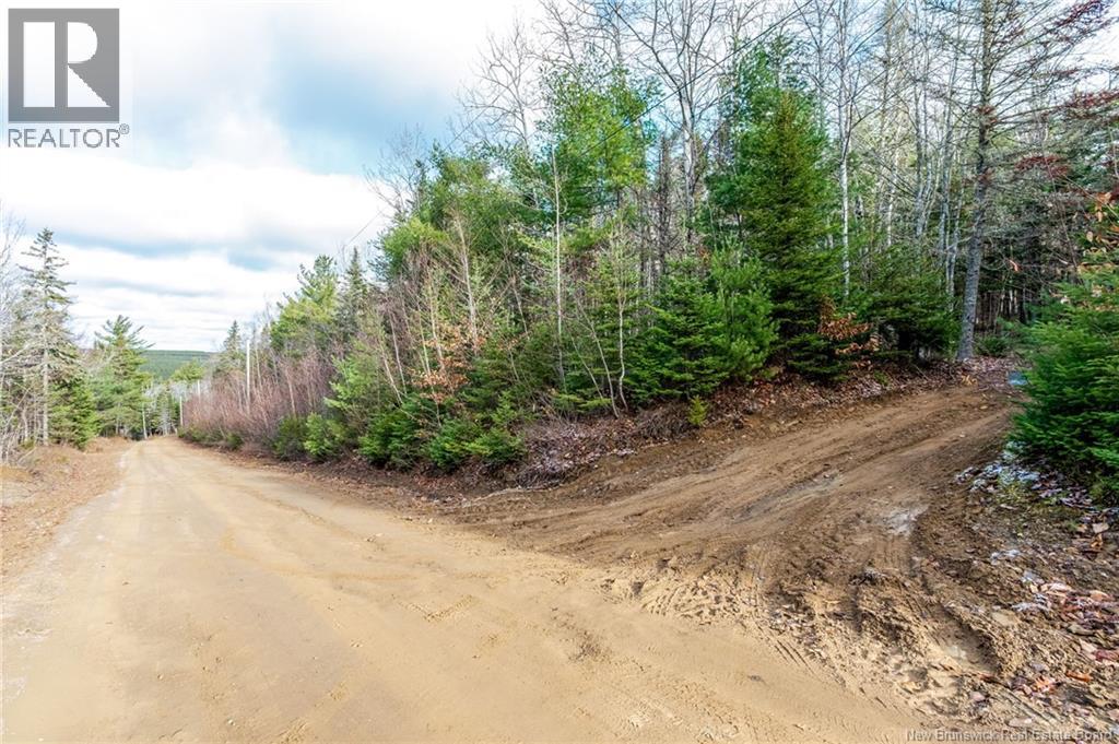 17 Deerwood Drive, Elgin, New Brunswick  E4Z 1S3 - Photo 46 - NB130135