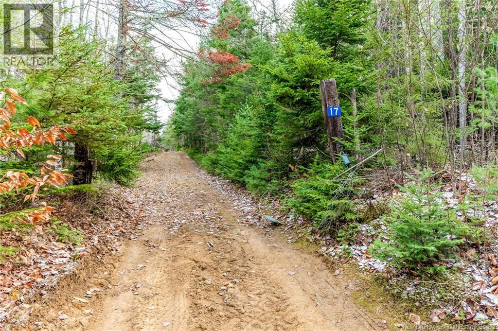 17 Deerwood Drive, Elgin, New Brunswick  E4Z 1S3 - Photo 47 - NB130135