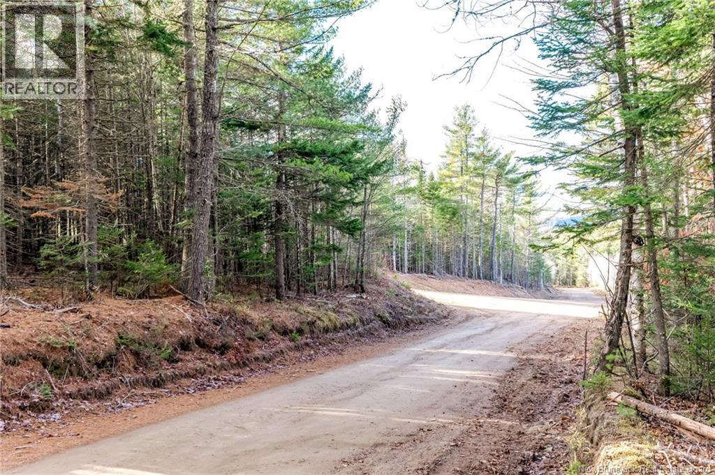 17 Deerwood Drive, Elgin, New Brunswick  E4Z 1S3 - Photo 50 - NB130135