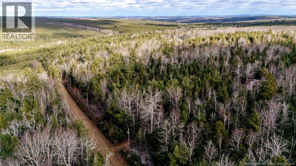 17 Deerwood Drive, Elgin, New Brunswick  E4Z 1S3 - Photo 6 - NB130135