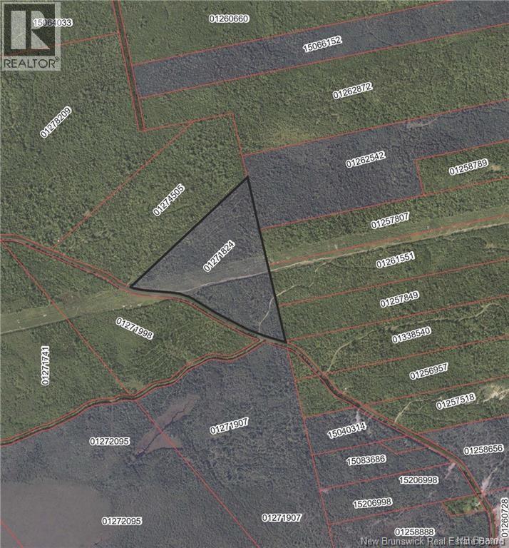 Lot Route 735, Mayfield, New Brunswick E3L 5M9 - Photo 2 - NB130158